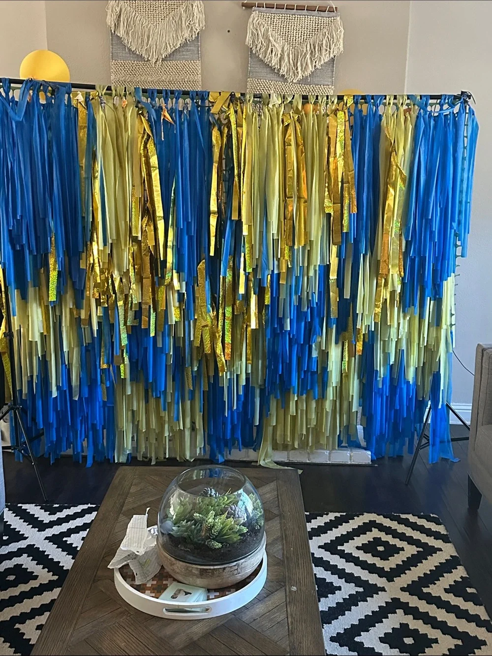 Fringe party backdrop